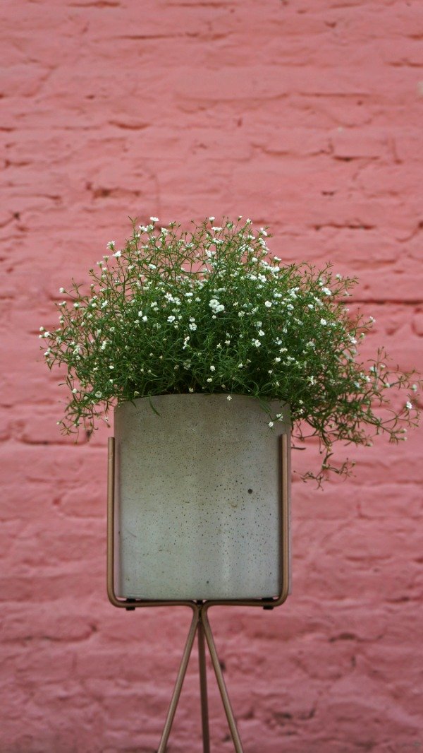 Producto - MATCH - Maceta Cilindro grande con Gypsophila