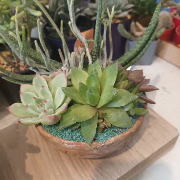Miniatura de producto - 10