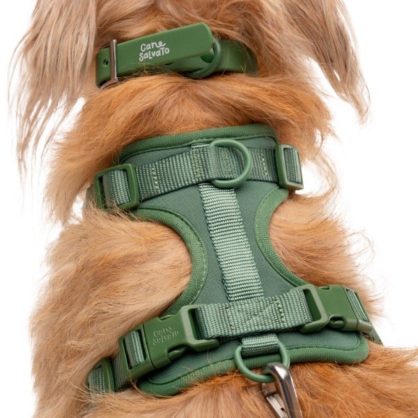Producto - Set Laika VERDE