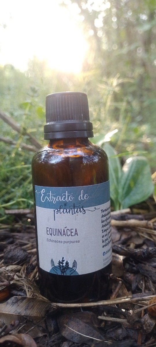 Producto - Tintura madre de Equinacea