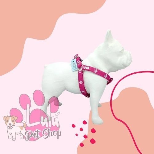 Producto - CONJUNTOS CLICK +