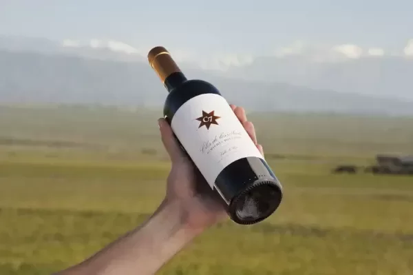 Producto - Clos de los Siete