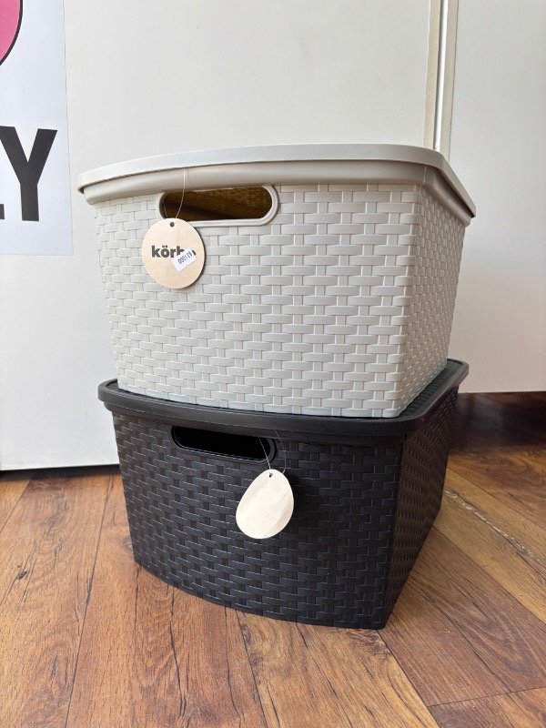 Producto - Contenedor Ratan 25L (con tapa)