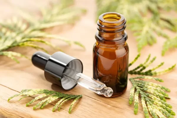 Producto - ACEITE ESENCIAL PATCHOULI 15 ML