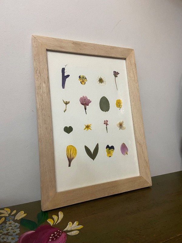 Producto - Poupurri botánico