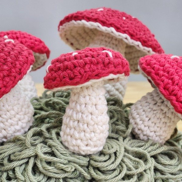 Producto - MI PRIMER AMIGURUMI - HONGUITO - 1