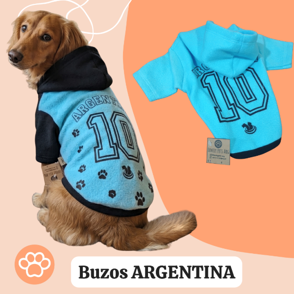 Producto - Buzo ARGENTINA