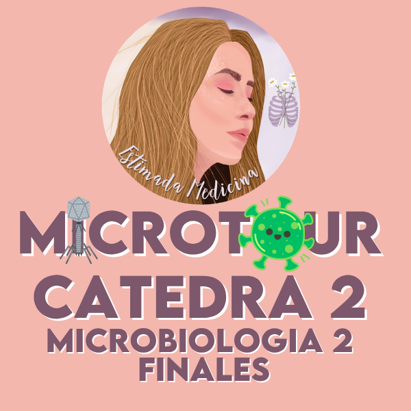 Producto - MICRO 2 FINALES (CÁTEDRA 2)