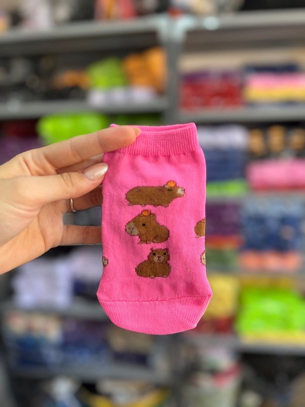 Producto - Soquete, Capibara Niño