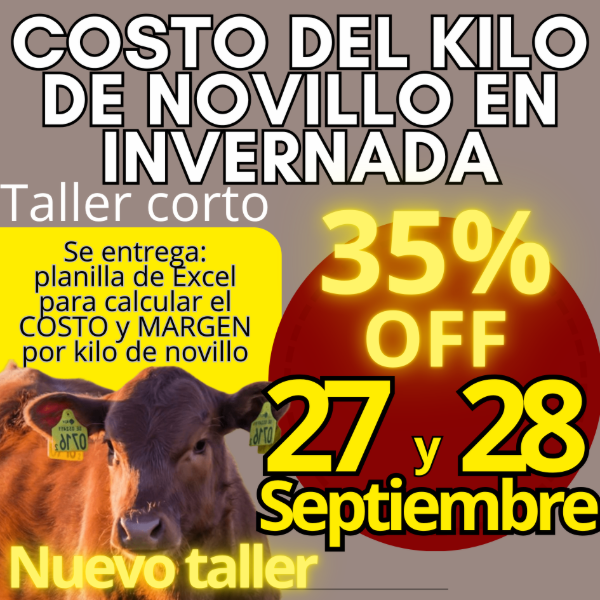 Producto - Taller corto: cálculo del costo del kilo de novillo - 0