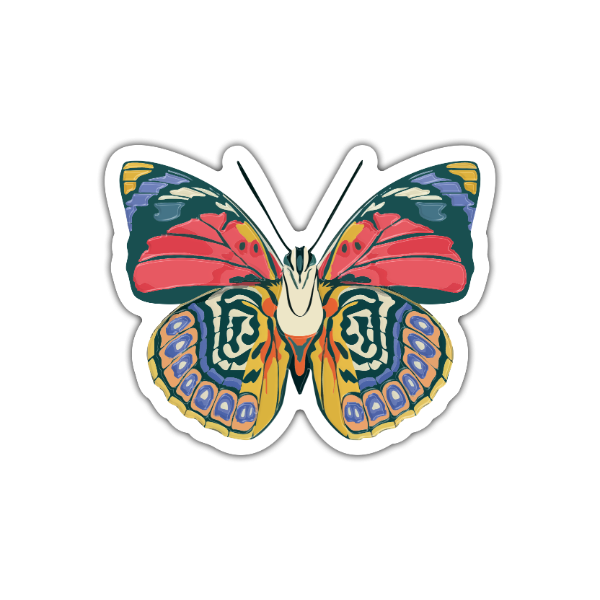 Producto - Mariposa Agrias - Vinilo Blanco + Laca