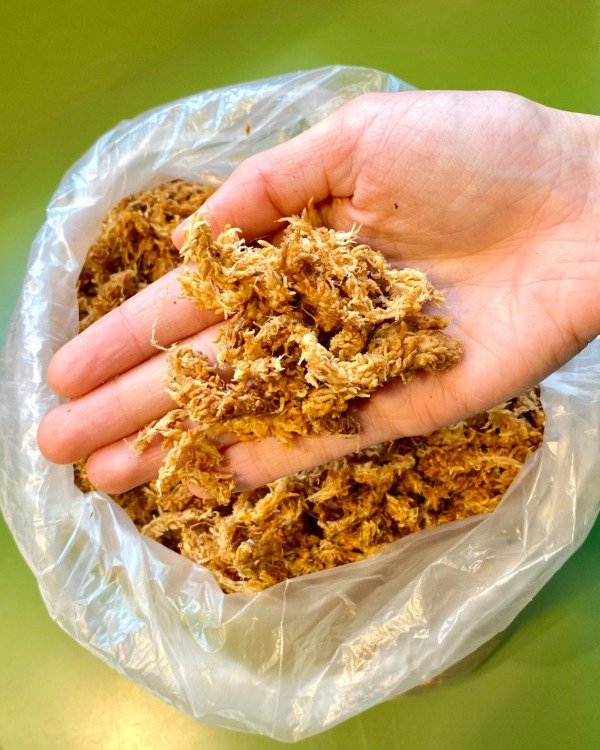 Producto - Musgo Sphagnum Entero 5 dm