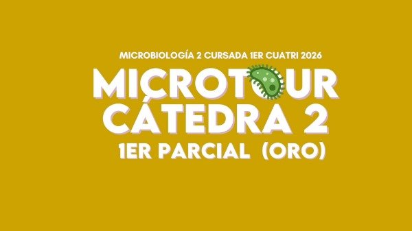 Producto - MICRO 2 CÁTEDRA 2 ORO (1er parcial)