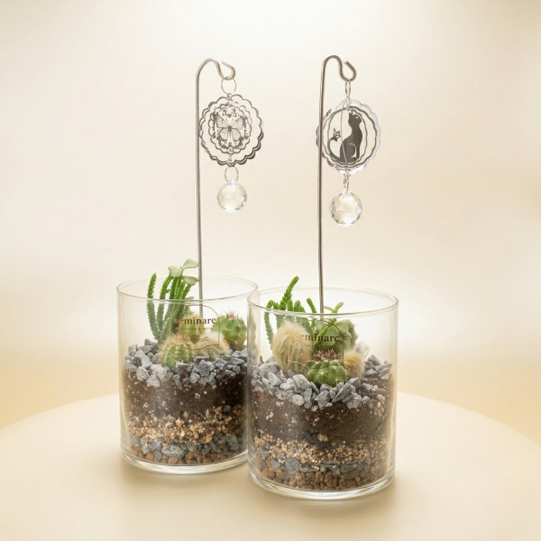 Producto - Terrario Cilindro con Atrapasol