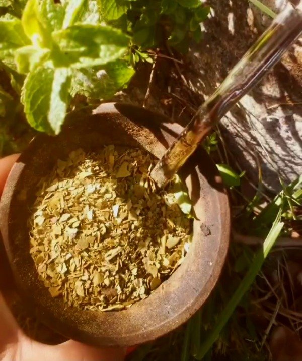 Producto - Yerba mate INTENSA