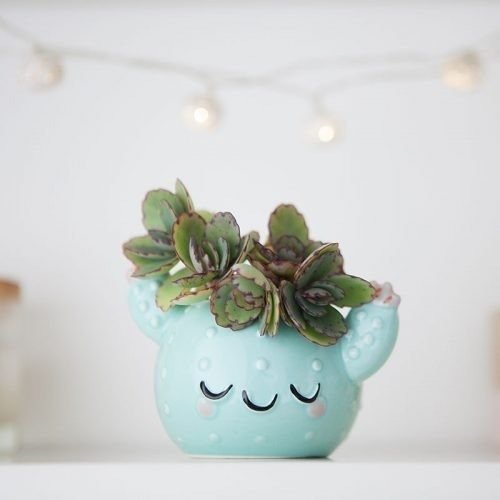 Producto - MACETA CACTUCITO BELLO - 1