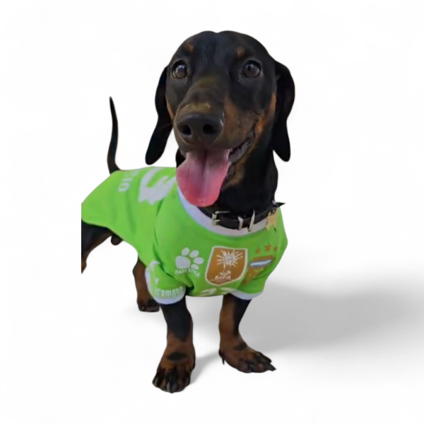 Producto - Camiseta del Dibu para perros Salchicha por Talle