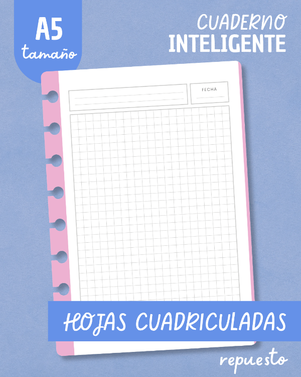Producto - Repuesto de hojas A5 - Cuadriculado - Franja color