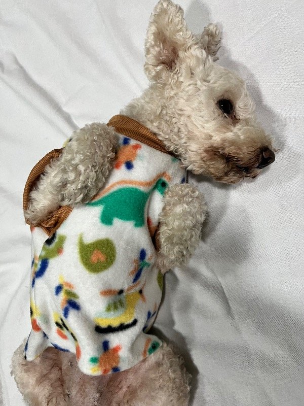 Miniatura de producto - 8