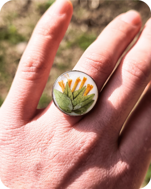 Producto - Anillo Pradera