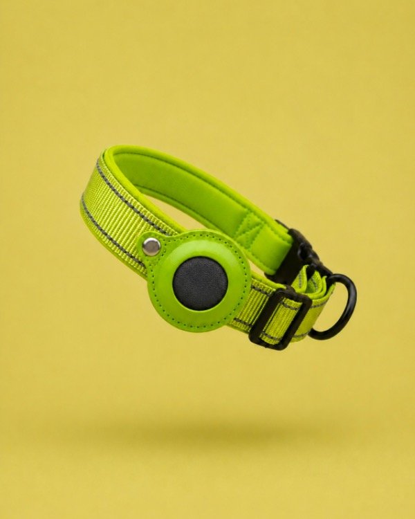 Producto - Collar Balto VERDE