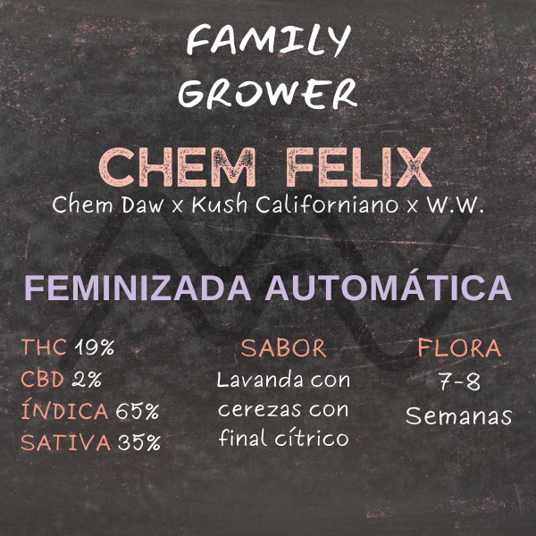 Producto - Semillas Chem Felix Family Grower (Fem.Auto.)