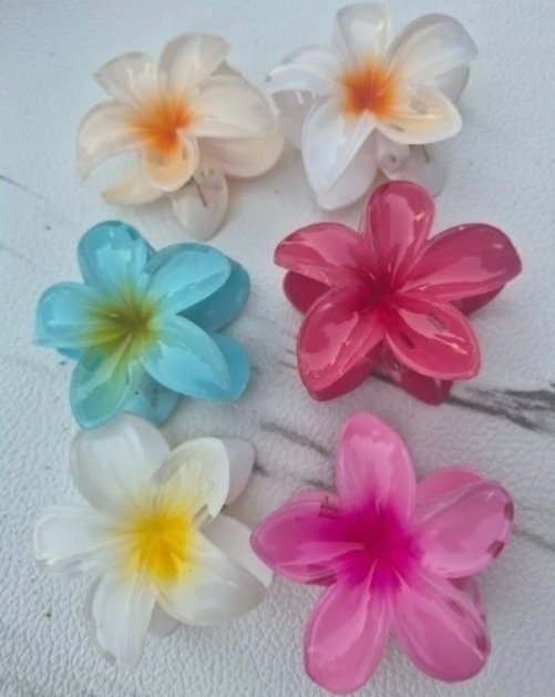 Producto - Broche Hawaiano Grande Caribe