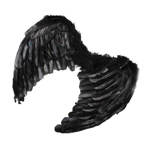 Producto - Alas de angel grandes negras