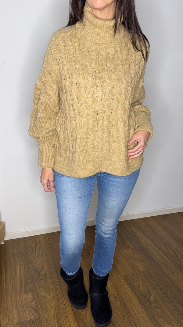 Producto - Poleron Delfina