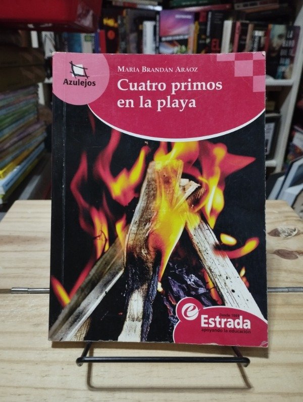 Producto - CUATRO PRIMOS EN LA PLAYA - María Brandán Aráoz