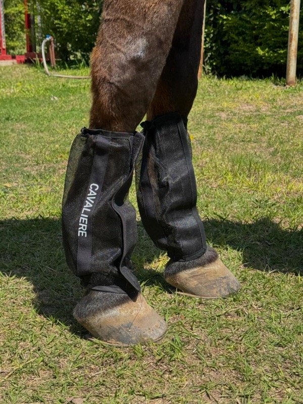 Producto - FLYBOOTS X4 MANOS/PATAS