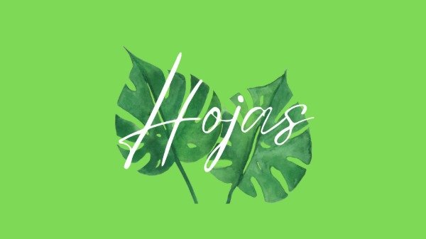 Producto - Tutorial Online Hojas