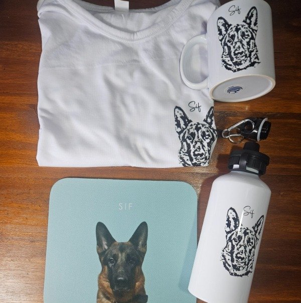 Producto - Box 2: 1 remera +1 botella+1 taza+1 mousepad