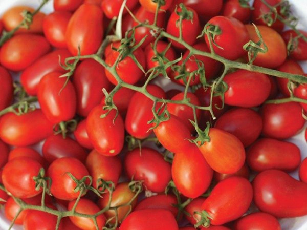Producto - tomate cherry agro UTT x 1/4 Kg