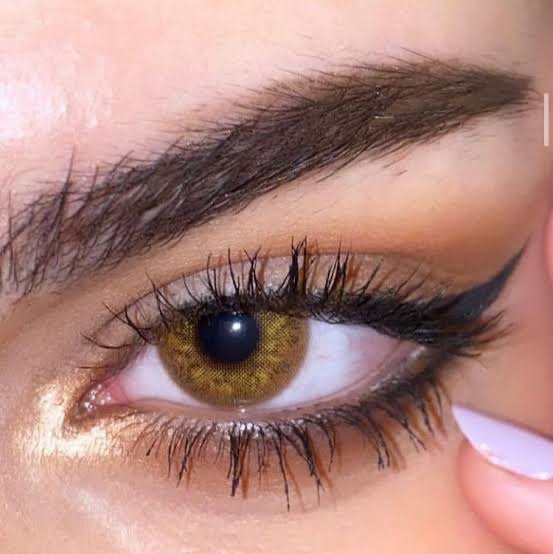 Producto - Russian brown FRESHLADY