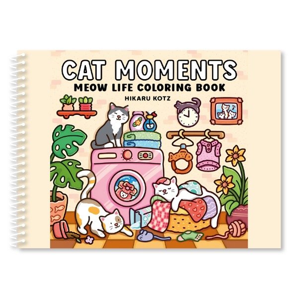 Producto - CAT MOMENTS
