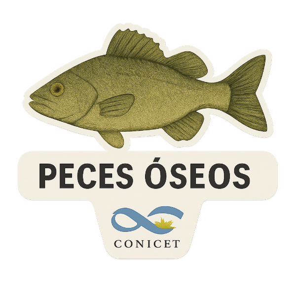 Producto - Stickers Conicet 2