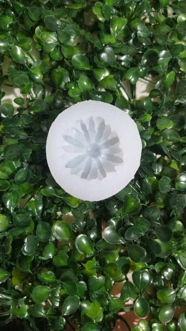 Producto - Molde margarita - 1