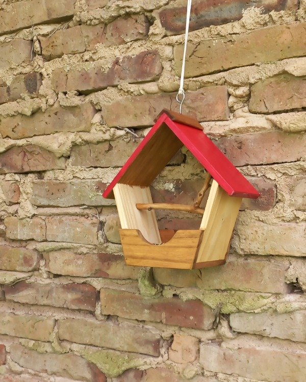 Producto - Comedero COLGANTE para semillas (rojo)