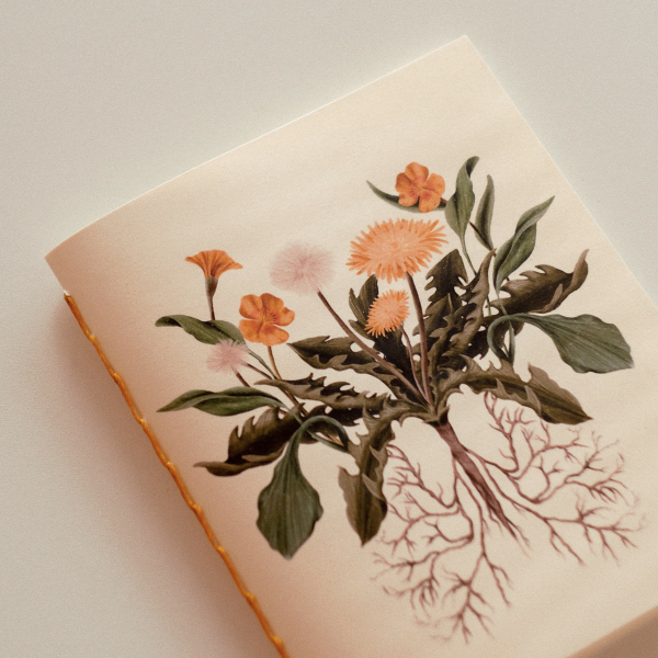 Producto - Cuaderno Diente de Leon