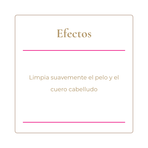 Producto - Shampoo Solido - 2