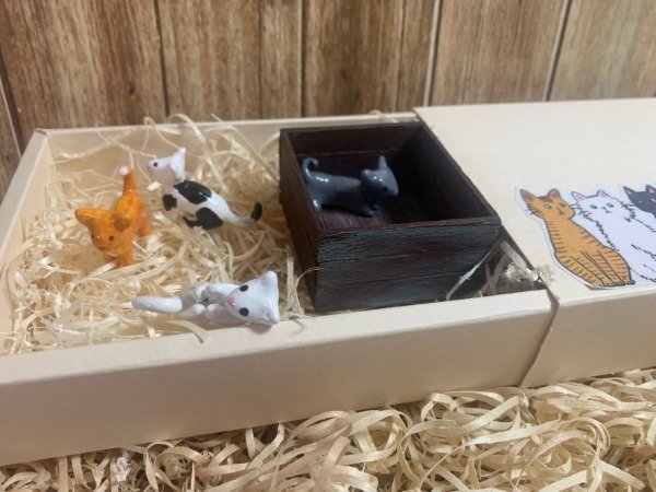 Producto - Caja Gatitos 4