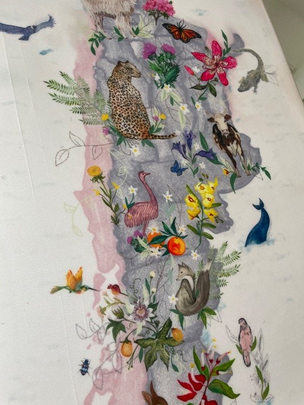 Producto - Mapa Flora y Fauna Argentina - 1
