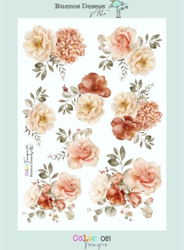 Producto - Transfers Color 081