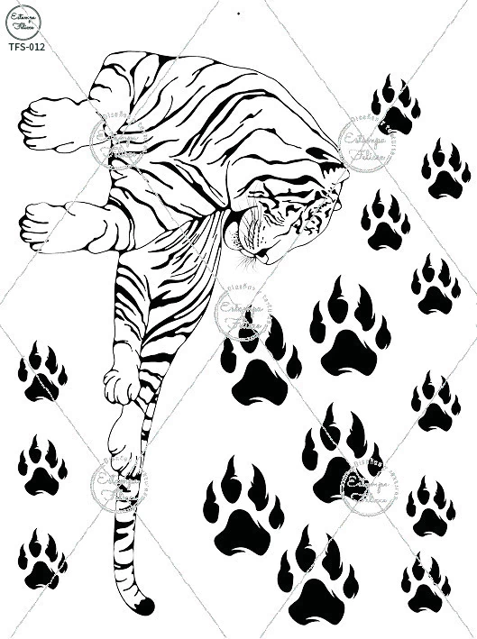 Producto - TF Tigre