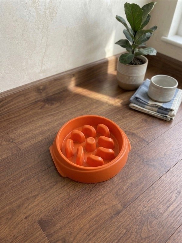 Producto - comelento naranja