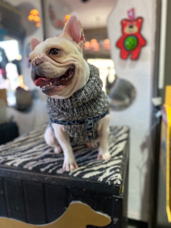 Producto - Polera de lana