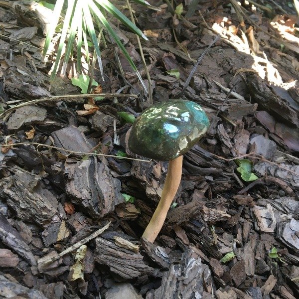 Producto - verde oscuro