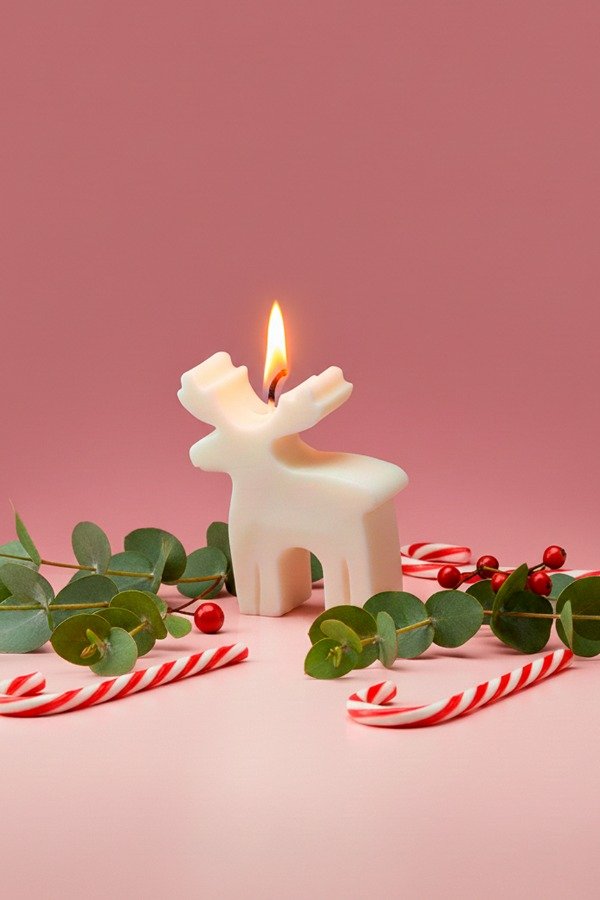 Producto - RUDOLPH