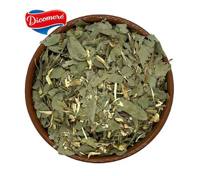 Producto - EUCALIPTUS MENTA EN HOJAS